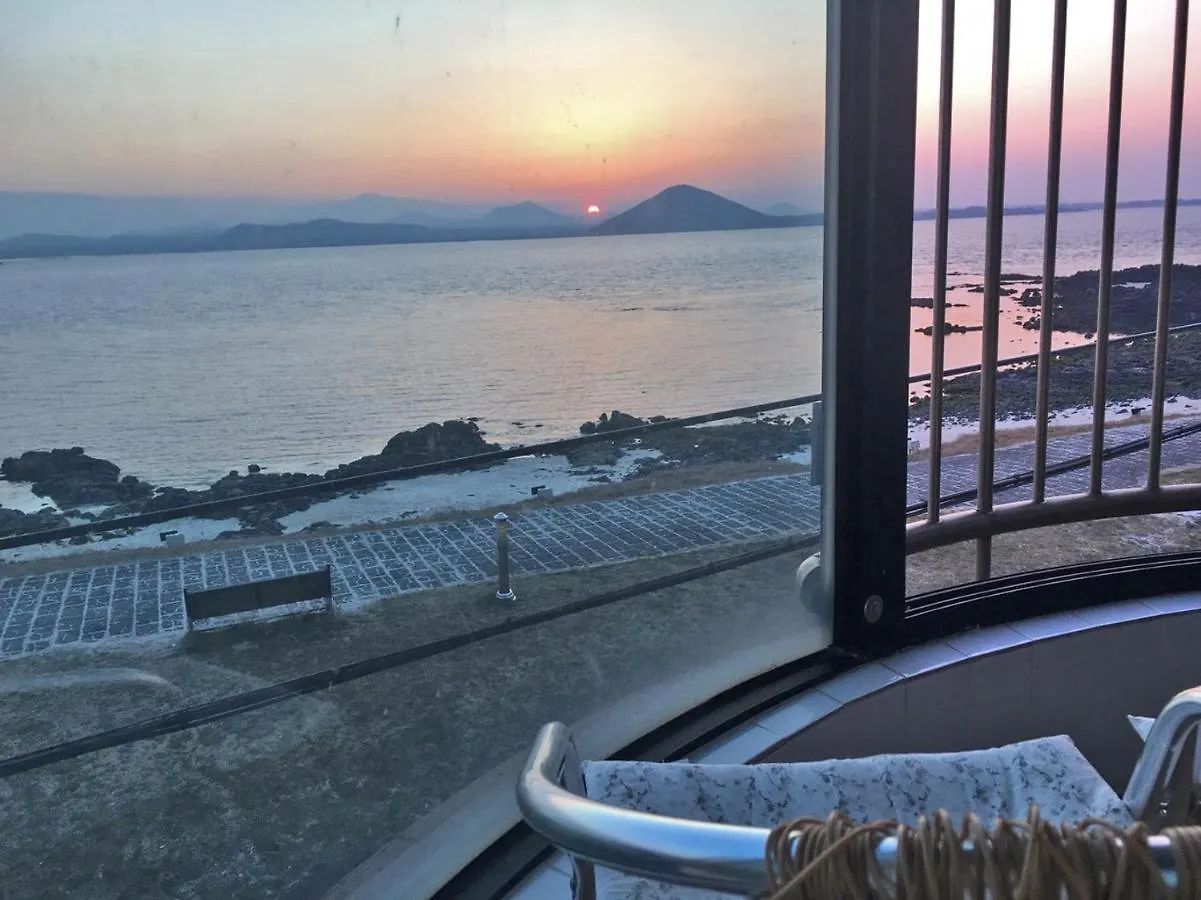 Guest house White Castle Pension Jeju